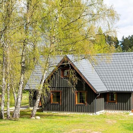 Brivdienu Maja Vejini Straupe Esterno foto