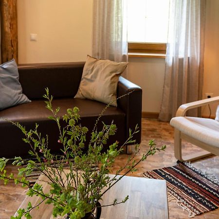 Brivdienu Maja Vejini Straupe Esterno foto