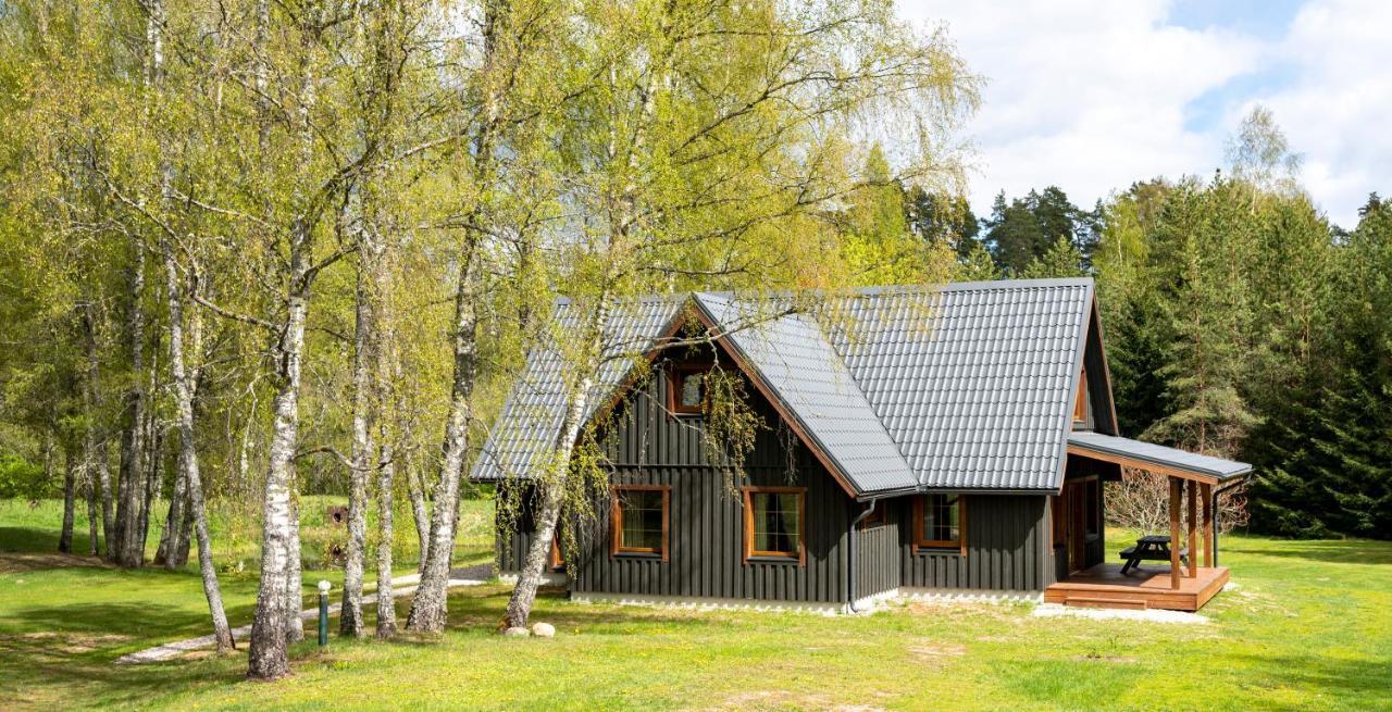 Brivdienu Maja Vejini Straupe Esterno foto