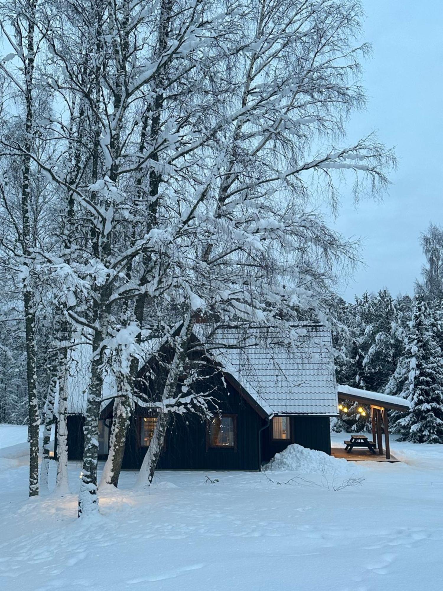 Brivdienu Maja Vejini Straupe Esterno foto